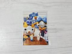 ＆9 スターマン＆キララ 生写真 横浜DeNAベイスターズ ノベルティ