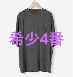 comoli 23ss サマーウール天竺Tシャツ（gray）