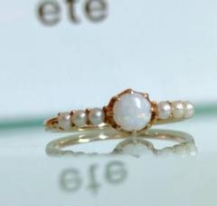 trim_fce_item6360e573bee83.jpg