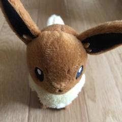 ポケモン　イーブイ　ぬいぐるみ