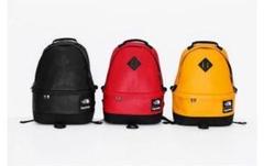 17AW♥即完売シュプリーム×ザノースフェイスレザーリュック MCM cdg