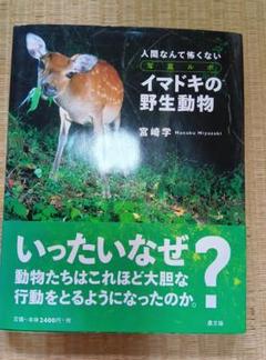 イマドキの野生動物 宮崎学 写真ルポ