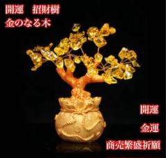 金のなる木　招財樹　黄水晶　シトリン　風水　インテリア