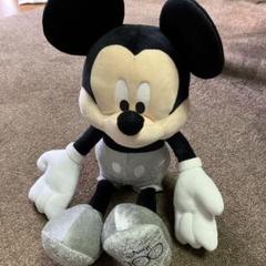 WDW1200体限定シリアルナンバー付きパジャマミッキーぬいぐるみ ダッフィー Amazon.co.jp: ミッキー＆ダッフィー ぬいぐるみバッジ