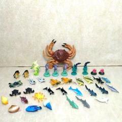 最終値下げ【新品】海洋生物 フィギュア37個セット