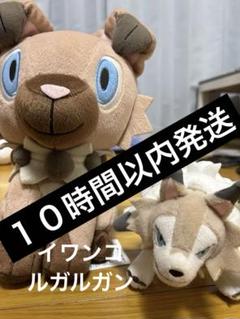 ポケモンセンター タカラトミー ルガルガン イワンコ ぬいぐるみ セット Amazon.co.jp: ポケモンセンターオリジナル 745 ぬいぐるみ