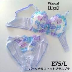 2025年最新】パーソナルフィットプラスブラの人気アイテム