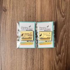 【非売品】大阪関西万博 プトラジャヤ湖・ウェットランド ピンバッジ 2個セット