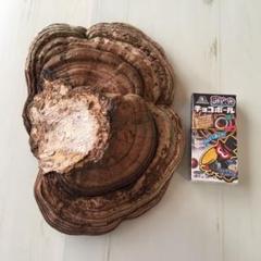 サルのこしかけの中古 未使用品 メルカリ