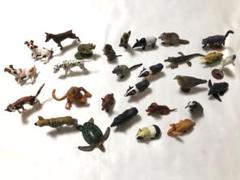 チョコエッグ動物フィギュアセット 約50体 2025年最新】チョコエッグ フィギュア 動物の人気アイテム