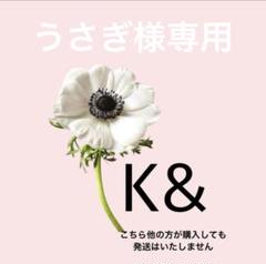 うさこ様　オーダー専用ページ ミニうちわ オーダーページの通販 by noco.'s shop｜ラクマ