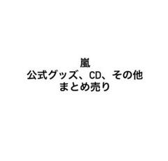 嵐 公式写真 クリアファイル パンフレット 二宮和也 うちわ 君の