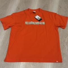 【NIKE acg】　ナイキ　イグアナ Dri-FIT Tシャツ　2XL