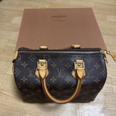Louis Vuitton ハンドバッグ モノグラム 美品のサムネイル