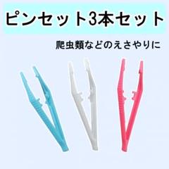 レオパ飼育４点セット⭐︎中古 よろずやマルシェ本店 | ジェックス レオパ飼育キット S 2個