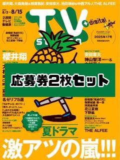 TVstation 17号 応募券 2枚セット