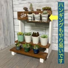 KS2 セット　多肉棚　多肉植物　観葉植物　ウッドプランター　ディスプレイ KS2 セット 多肉棚 多肉植物 観葉植物 ウッドプランター