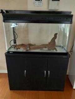 水槽台 90の検索結果 - メルカリ 店舗情報 GEX 90cm水槽セット中古 近隣手渡し限定 付属品多数 魚用品/水草