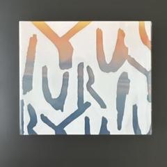 YURURI 優里/壱 CD