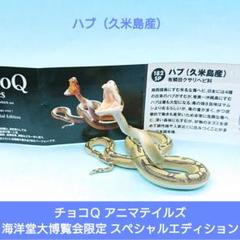 海洋堂 - 海洋堂大博覧会 チョコQアニマルテイルズ 限定カラーver.全6種セット/未使用 海洋堂 - 海洋堂大博覧会 チョコQアニマルテイルズ 限定カラー