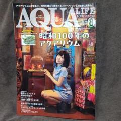 月刊アクアライフ　2022セット売 月刊アクアライフ 2022年 04 月号 オトシンクルス&コリドラス