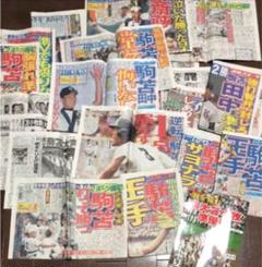 2006年 甲子園 駒大苫小牧関連新聞 セット