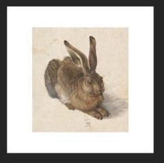 アルブレヒト・デューラー 水彩画 「うさぎ」 複製画 m49600757231_1.jpg?1710859611