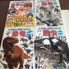 小学館の図鑑NEO 4冊セット DVD付き