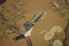 複製/呂紀/菊花花鳥図/小禽図/中国画/工芸/布袋屋掛軸HI-932 複製/呂紀/菊花花鳥図/小禽図/中国画/工芸/布袋屋掛軸HI-932