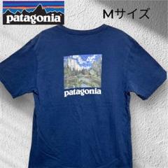 希少デザイン!　patagonia パタゴニア　ヨセミテ　Tシャツ　USA製