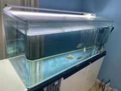 2022年最新】コトブキ 水槽 1200の人気アイテム - メルカリ