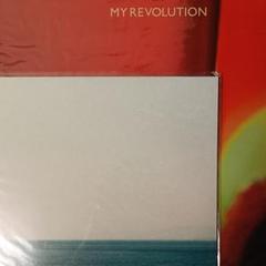 ゆうらん船　MY REVOLUTION レコード HRLP297_ogp.jpg