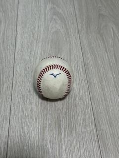 2025年最新】npb 球の人気アイテム - メルカリ