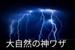 自然〜野性白鹿〜特別出品 A4〜frame【SD-Micro付き】