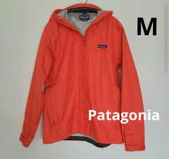 m49663161808_1.jpg?1716639984