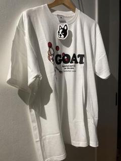 クラウディオ・パンディアーニ 半袖Tシャツ TJ18002グレー