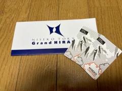 24-25シーズン　 ニセコ全山共通リフト券　1枚 24-25ニセコ全山共通リフト招待券 1枚限定