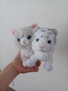 超レア　サンレモン　猫　トラ　ぬいぐるみ　作家　テディベア　ねこ　タイガー