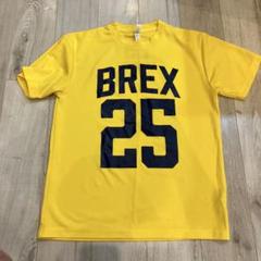 宇都宮ブレックスTシャツ L 25 古川
