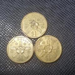 金運アップ☆シンガポールドル１ドルコイン × 3枚セット 硬貨☆超美品 金運アップ☆シンガポールドル1ドル硬貨 × 3枚セットの通販 by