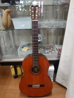 2025年最新】YAMAHA G-85Dの人気アイテム - メルカリ