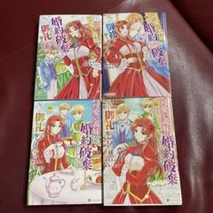 可愛い義妹が婚約破棄されたらしいので、今から「御礼」に参ります。1～4
