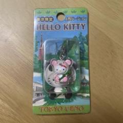 上野　ハローキティ　地域限定ストラップ ファスナーマスコット　レア商品 ハローキティ ご当地キティちゃん ラグナシア 限定 地域限定