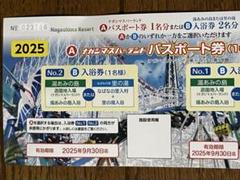 ナガシマスパーランド チケット　2枚セット ナガシマスパーランドパスポート券2名様分と分の商品券()