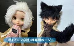 2023年最新】ミディアイシードールウィッグの人気アイテム - メルカリ