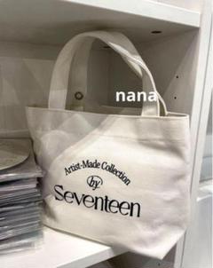 未開封・美品♪セブチ アーティストメイド SEUNGKWANSPORTS BAG