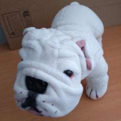 永谷園ぬいぐるみ Amazon.co.jp: 永谷園 ぬいぐるみ 2点セット 限定品 ブルドッグ