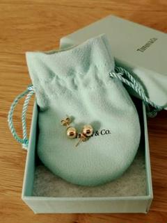 旧嵯峨御所 大本山大覚寺 薄緑(膝丸) ピアス | Shop at Mercari