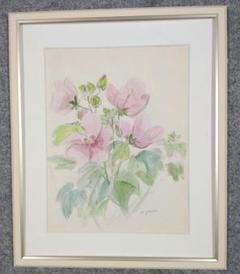 ふようの花F6号水彩スケッチ新品UVカットアクリル板額縁付き ふようの花F6号水彩スケッチ新品UVカットアクリル板額縁付き