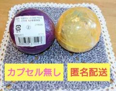 ワンピの実2個まとめ売り(第22海戦ビビ、革命軍軍隊長カラス)